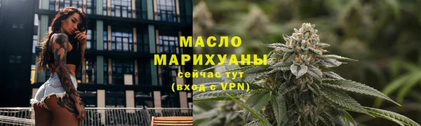 молекула духа Бородино