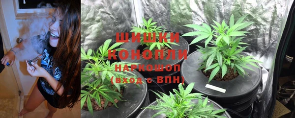 таблы Богородск