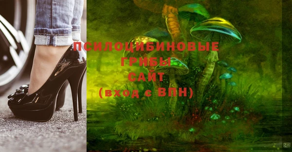 мяу мяу мука Богданович