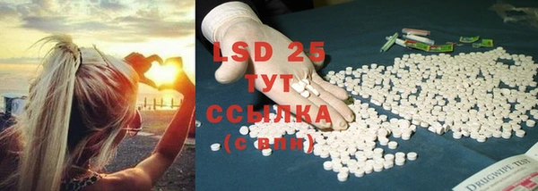 мяу мяу мука Богданович