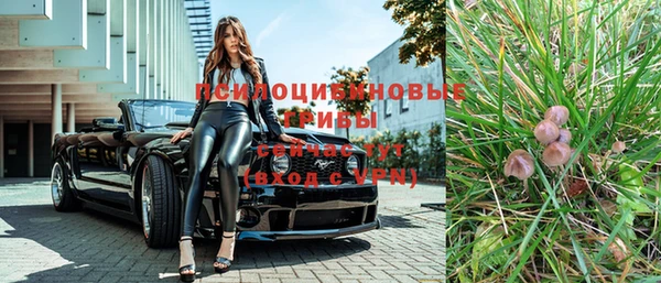 таблы Богородск